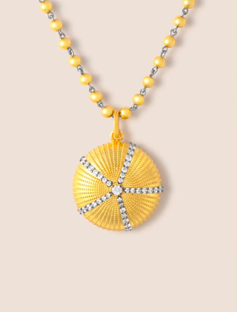 CHARM ERIZO