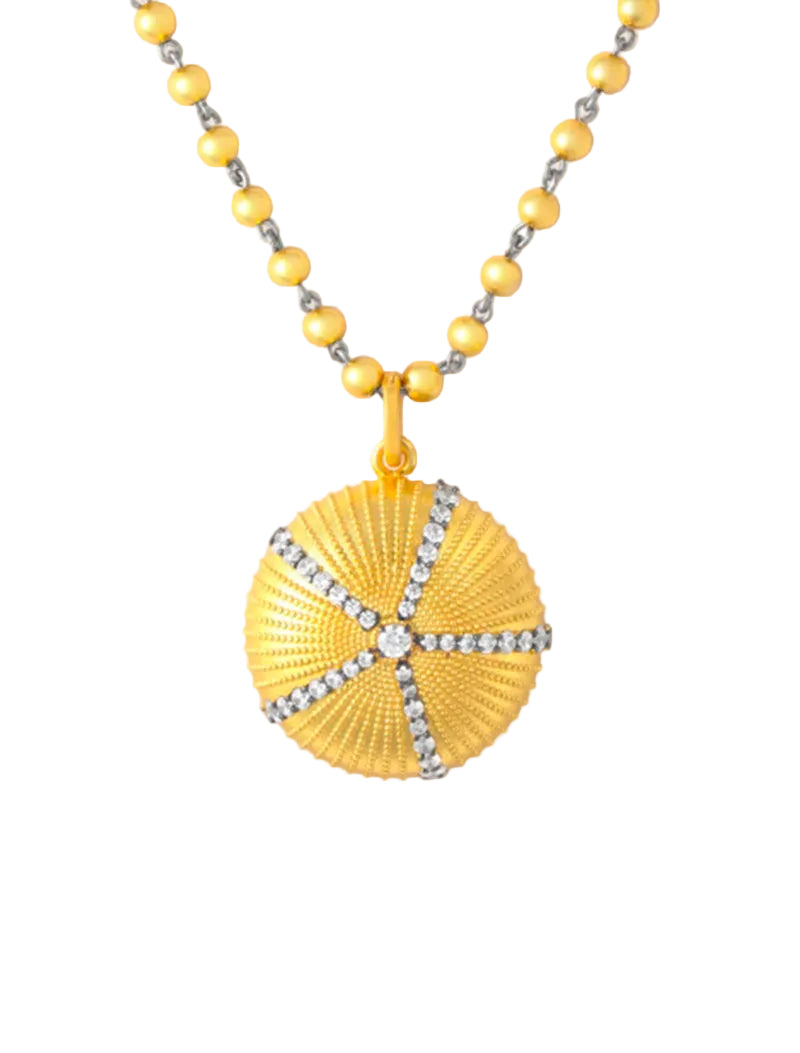 CHARM ERIZO