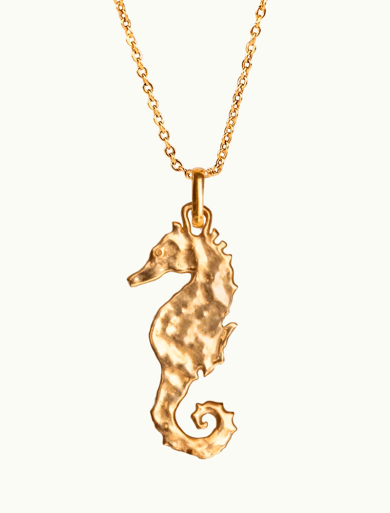 COLLAR CAVALETTO