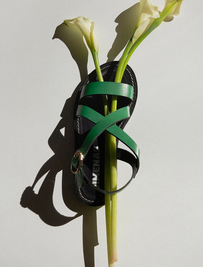 DAMIANA VERDE