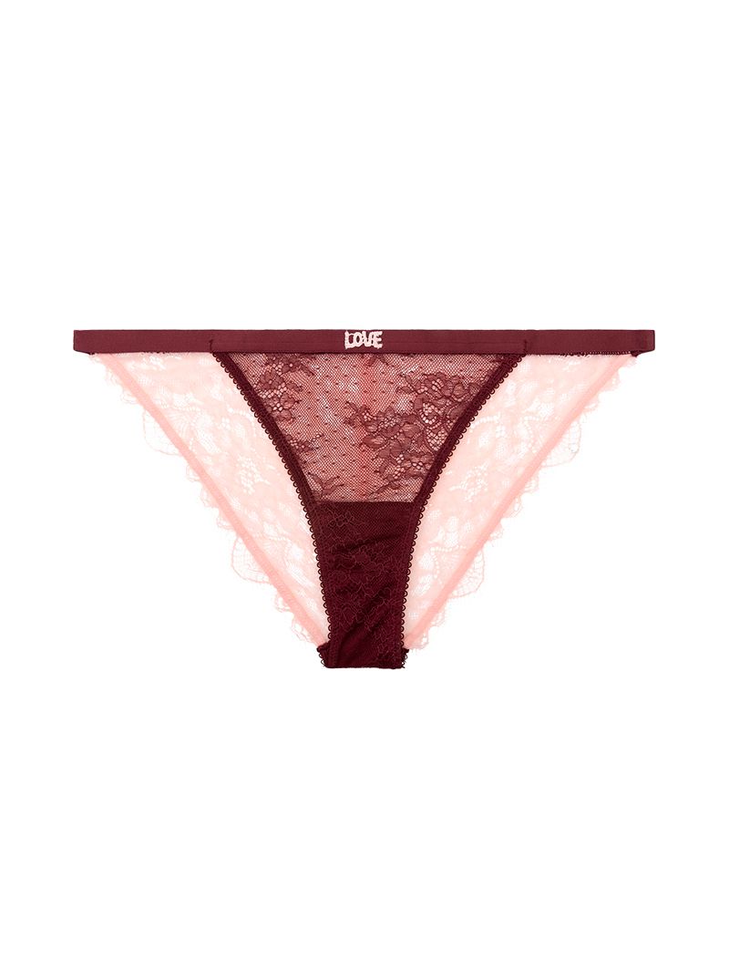 WILD ROSE