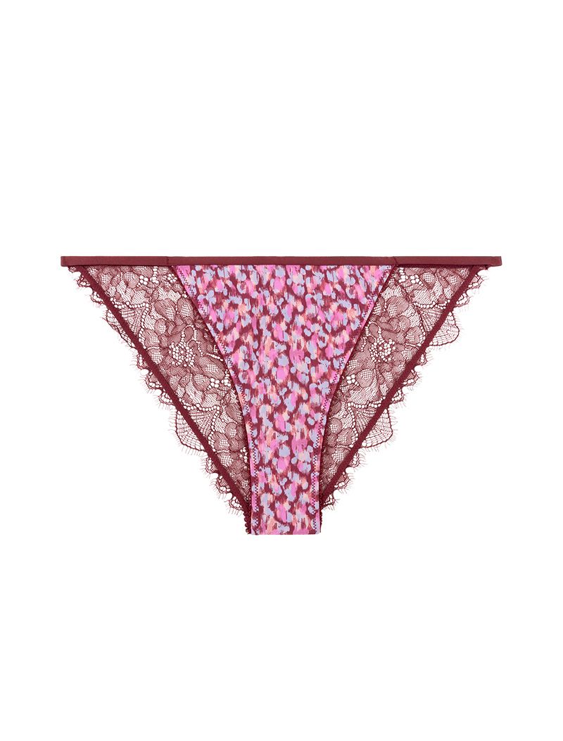 WILDROSE