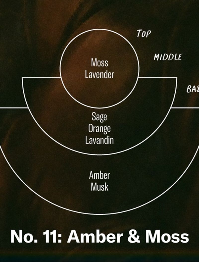 COMPOSICION