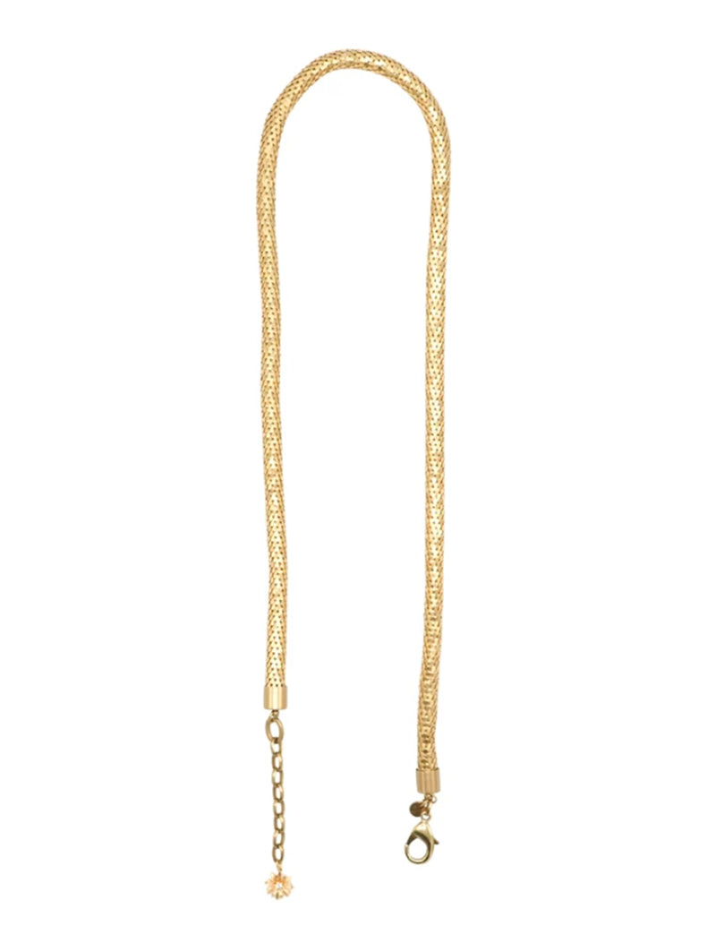 COLLAR ANTOINE