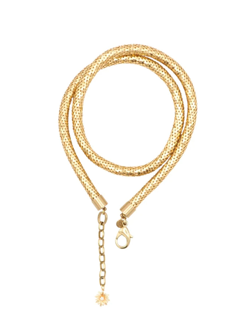 COLLAR ANTOINE