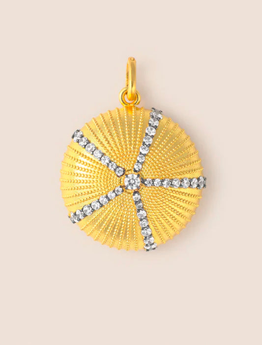 CHARM ERIZO