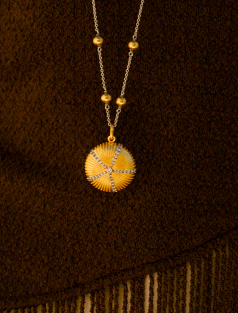 CHARM ERIZO