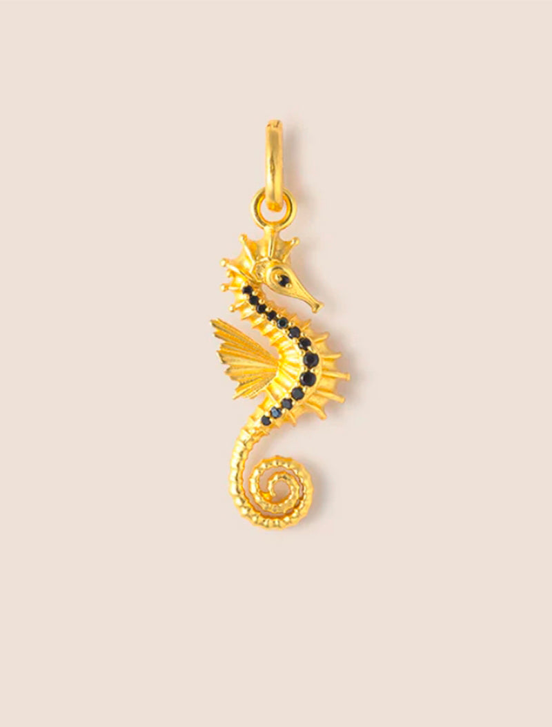 CHARM CABALLITO DE MAR