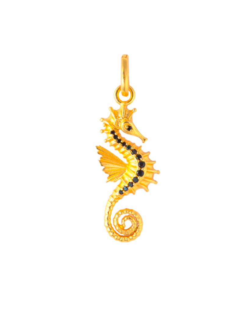 CHARM CABALLITO DE MAR